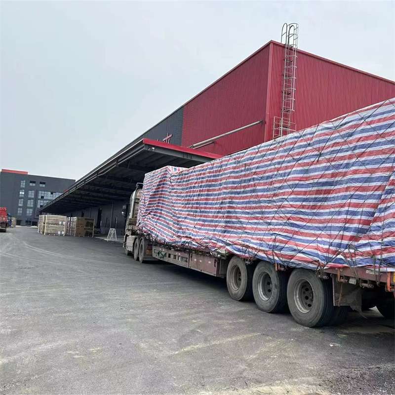 大同市探秘巴中市多元物流运输世界